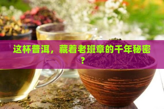 鸿蒙普洱茶叶老班章