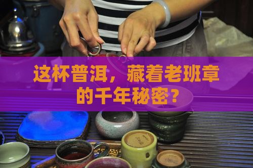 鸿蒙普洱茶叶老班章