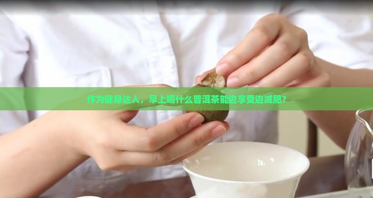 什么是普洱茶减肥推荐喝