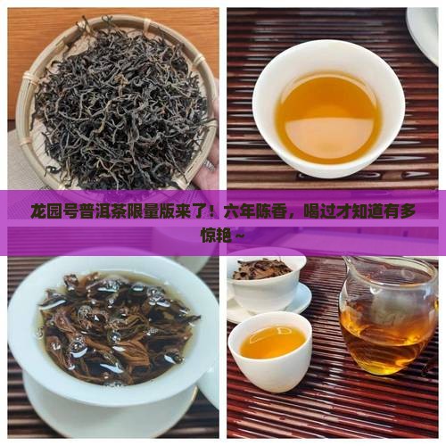 龙园号普洱茶限量版6年