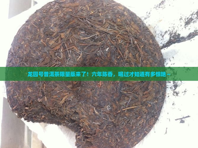龙园号普洱茶限量版6年