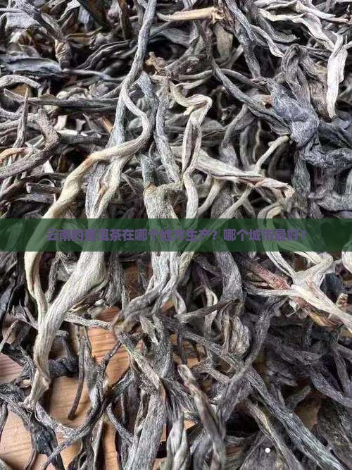 云南的普洱茶在哪个地方