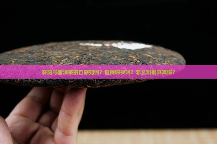 轩阳号普洱茶怎么样