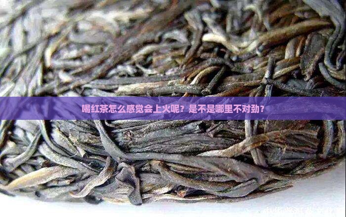 红茶吃了会上火吗