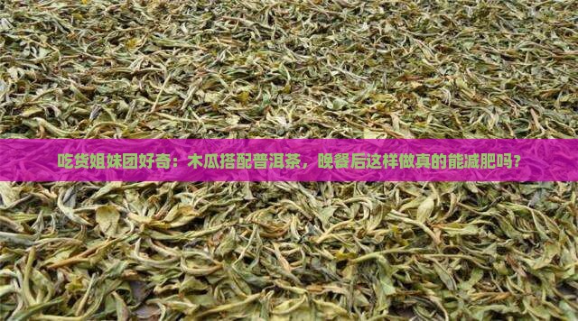 普洱茶可以和木瓜