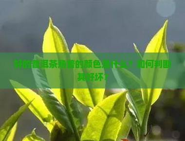 好的普洱茶熟普的颜色