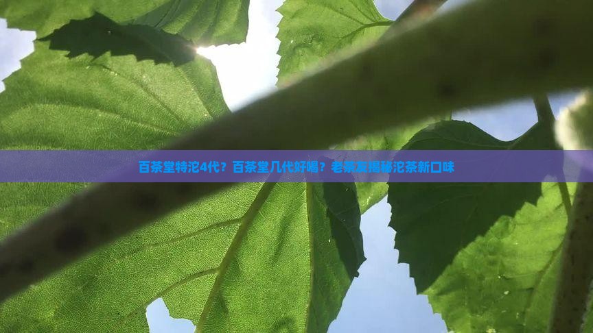 百茶堂特沱4代百茶堂几代好喝