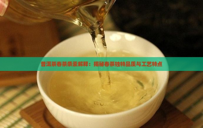 普洱茶春茶条索解释