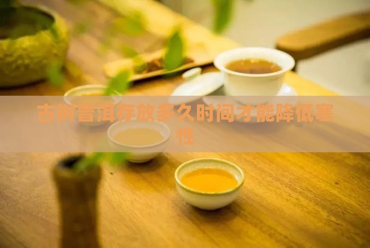 古树普洱茶存放多久才不寒