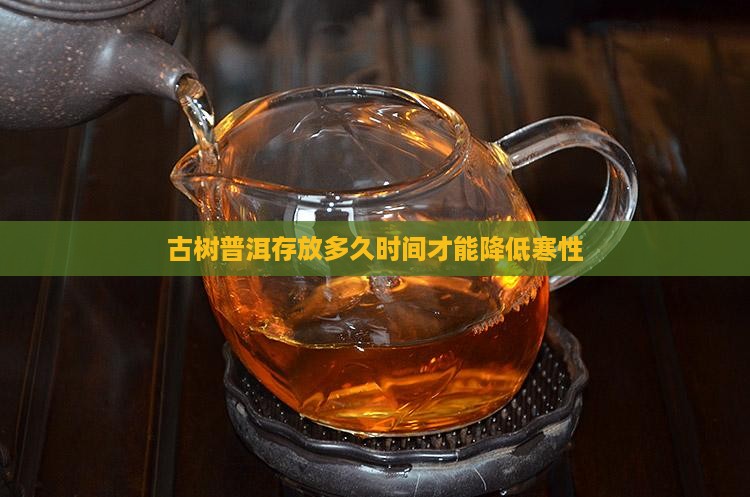 古树普洱茶存放多久才不寒