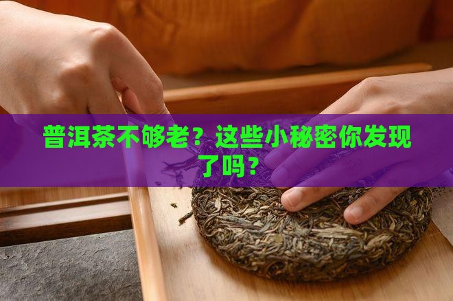 怎么判断普洱茶不够老了