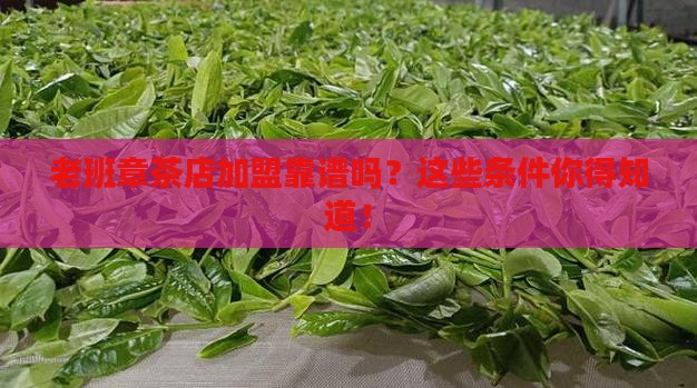 福建靠谱的老班章加盟条件