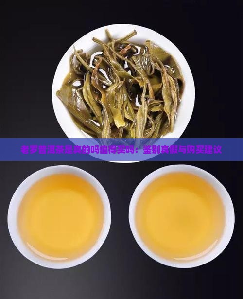 老罗普洱茶是真的吗值得买吗