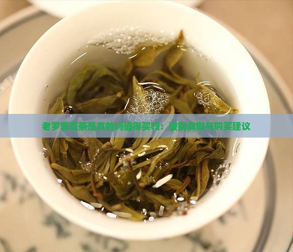 老罗普洱茶是真的吗值得买吗