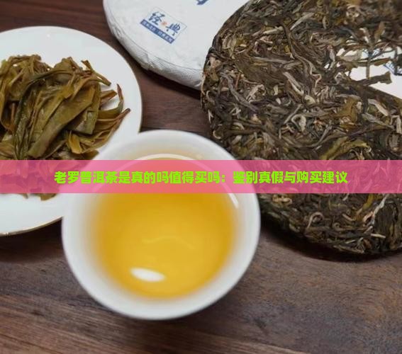 老罗普洱茶是真的吗值得买吗