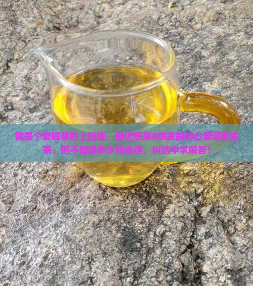 初心普洱茶生茶价格多少钱