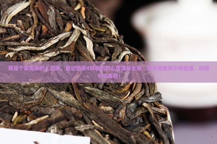 初心普洱茶生茶价格多少钱