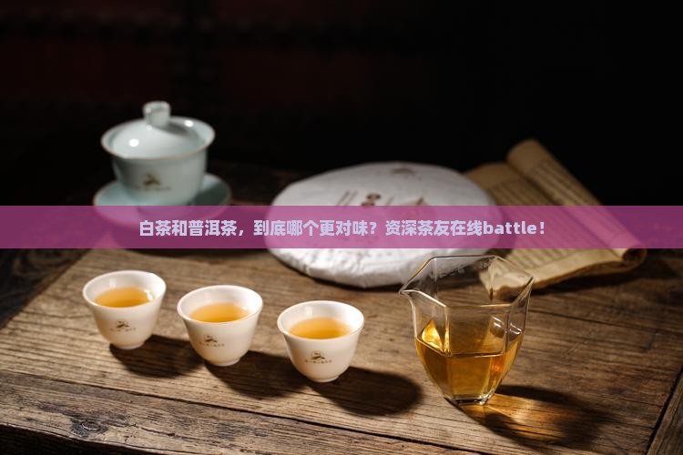 白茶跟普洱茶哪个好一点