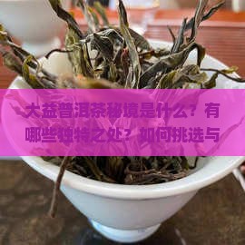 大益普洱茶秘境