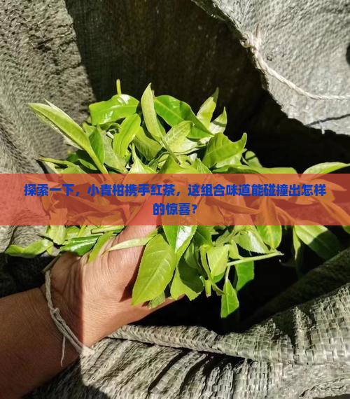 小青柑可以喝红茶一起泡吗