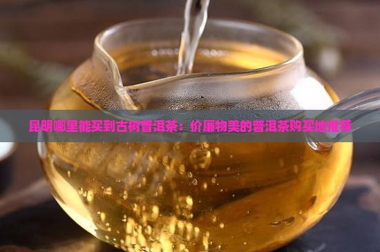 昆明哪里能买到古树普洱茶