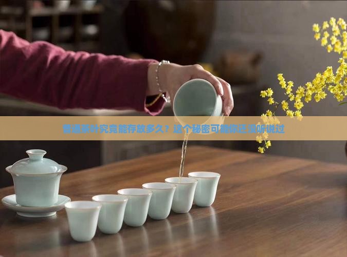 普通茶叶可以放多久
