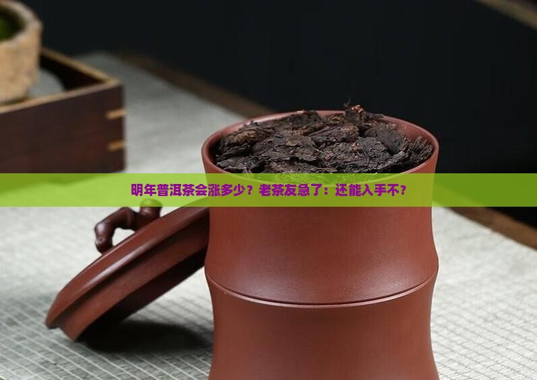 普洱茶明年会涨价吗