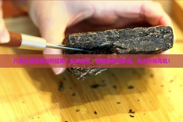 八角亭普洱茶招商