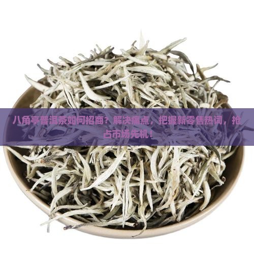 八角亭普洱茶招商