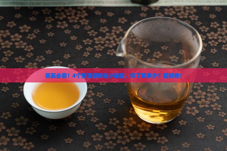 普洱茶后期转化的原理