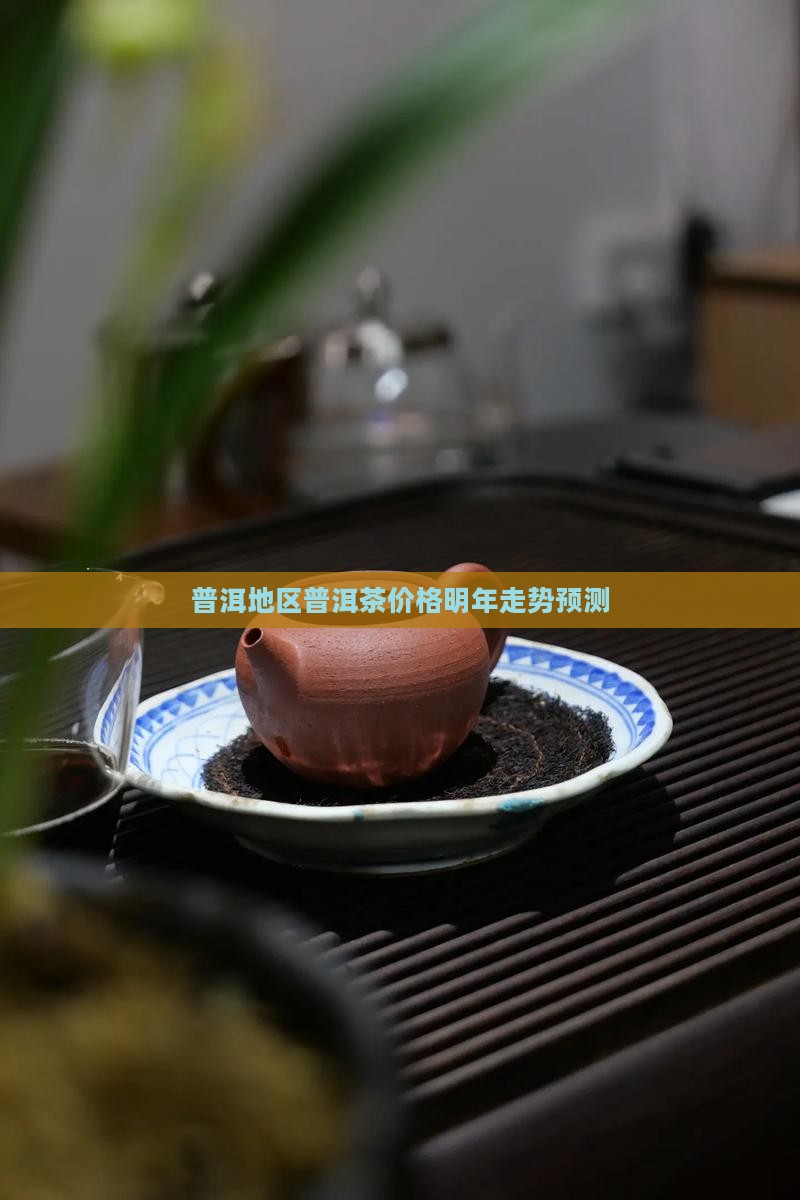 普洱茶明年价格走势