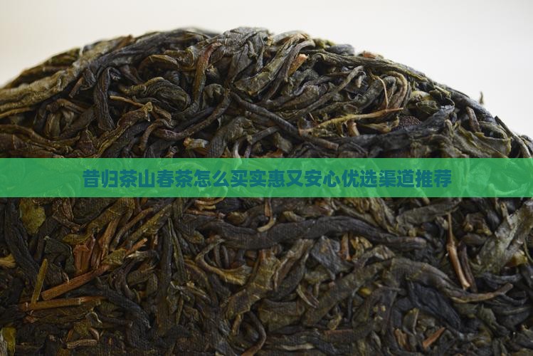昔归茶山春茶怎么买
