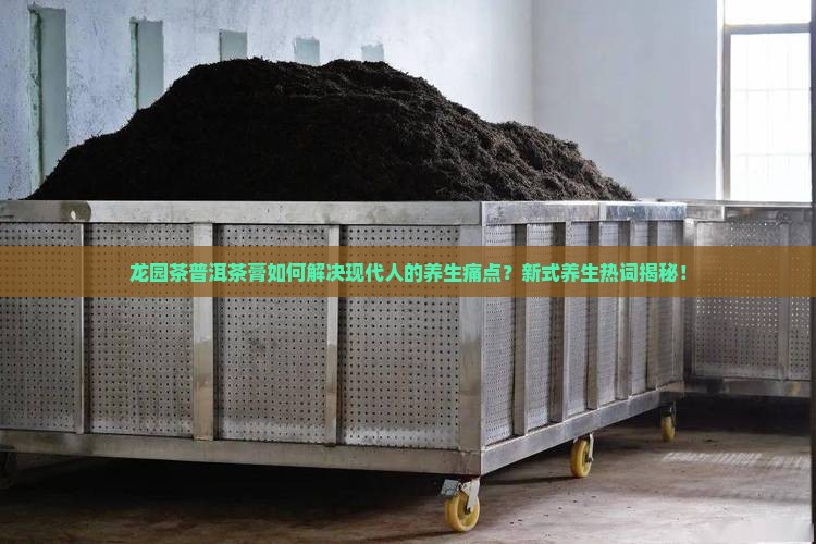 龙园茶普洱茶膏