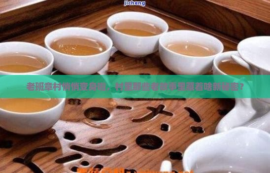 老班章村有什么变化