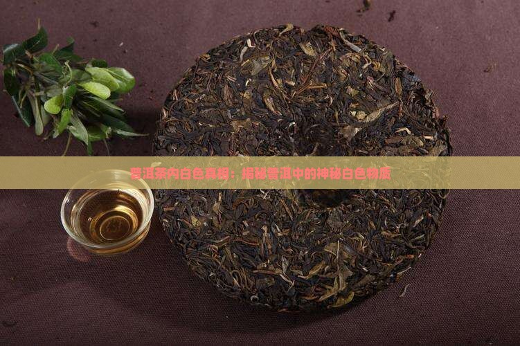 普洱茶里面有白色