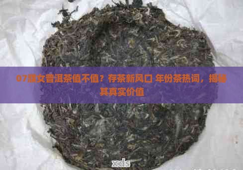 07濮女普洱茶