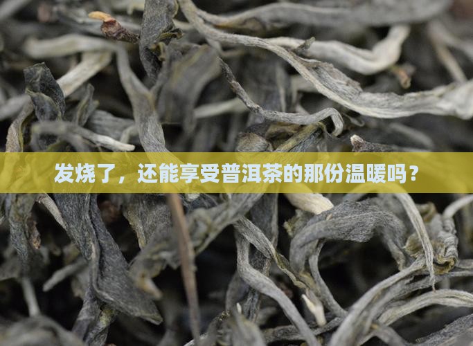 发烧时能喝普洱茶吗