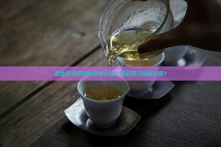 散生普洱茶冲泡几遍可以吗