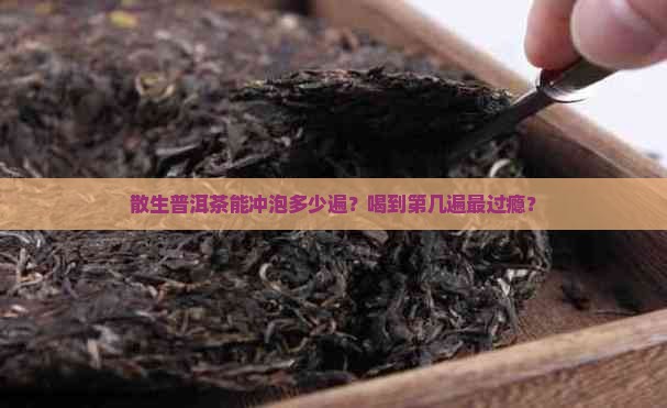 散生普洱茶冲泡几遍可以吗