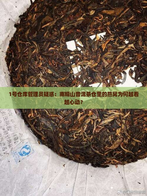 南糯山普洱茶仓燕直播间