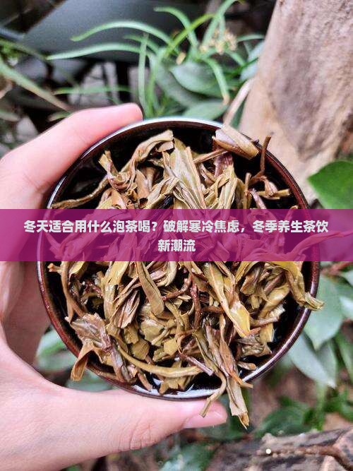 冬天适合用什么泡茶喝