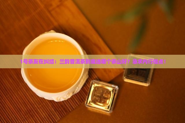 兰韵普洱茶哪个茶山