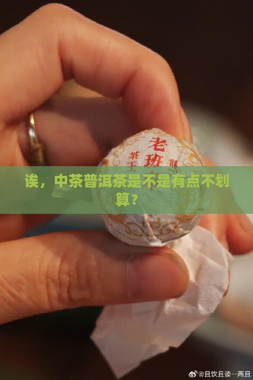 中茶普洱茶性价比低