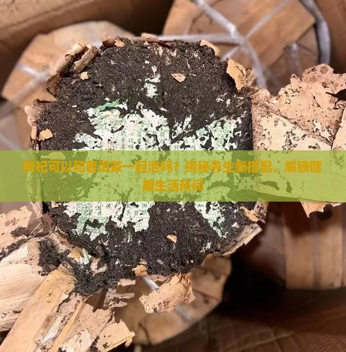 枸杞可以和普洱茶一起泡