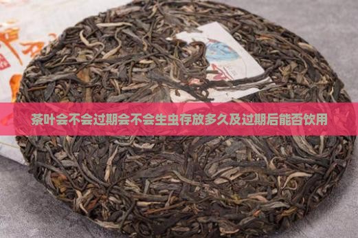 茶叶会不会过期会不会生虫