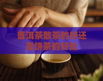 普洱茶散的好还是饼的好处