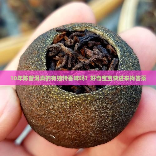 年份普洱茶有香味吗