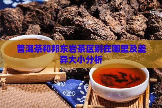 普洱茶和邦东岩茶区别