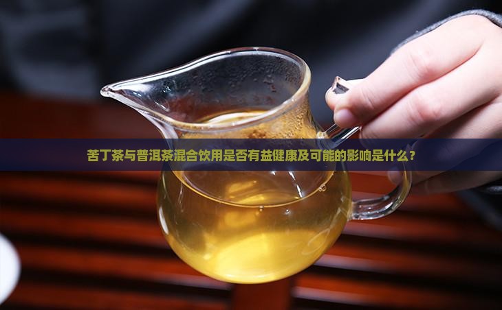 苦丁茶和普洱茶一起喝好吗
