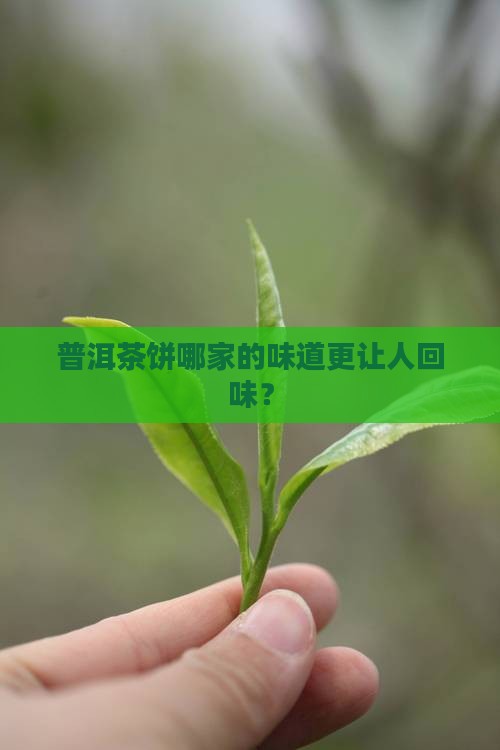普洱茶饼哪里卖的好喝点